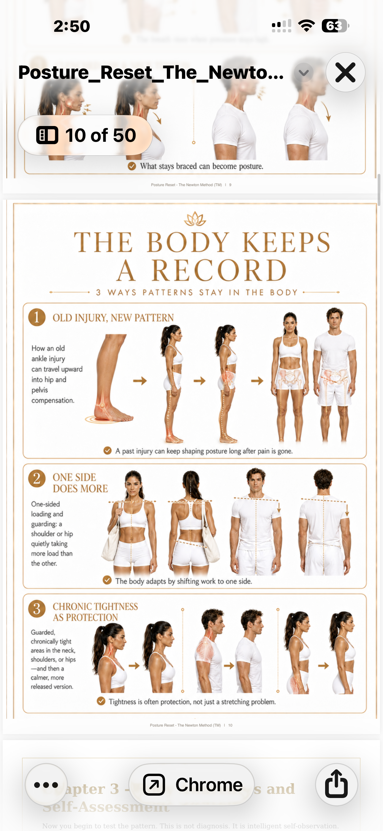 Posture Reset: The Newton Method - Ebook